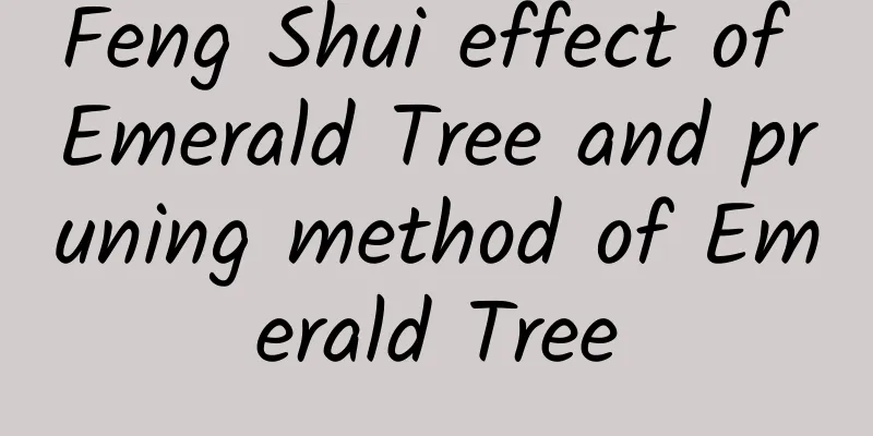 Feng Shui effect of Emerald Tree and pruning method of Emerald Tree