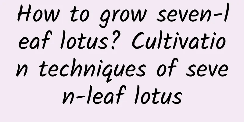 How to grow seven-leaf lotus? Cultivation techniques of seven-leaf lotus