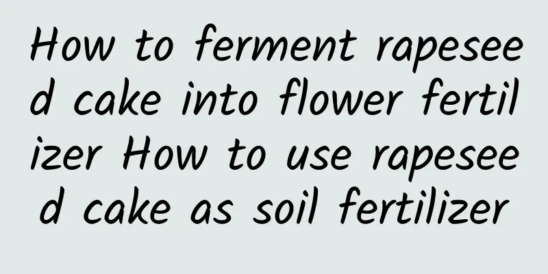 How to ferment rapeseed cake into flower fertilizer How to use rapeseed cake as soil fertilizer