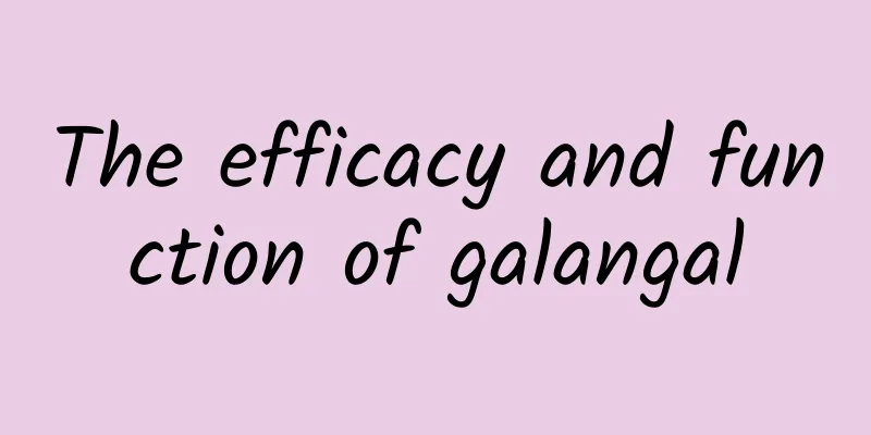 The efficacy and function of galangal