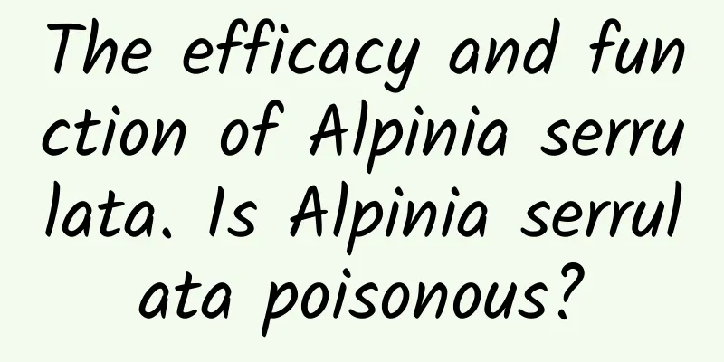 The efficacy and function of Alpinia serrulata. Is Alpinia serrulata poisonous?