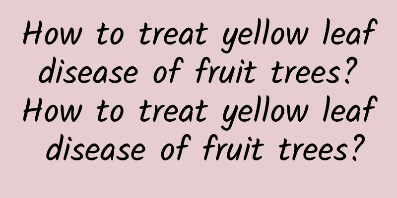 How to treat yellow leaf disease of fruit trees? How to treat yellow leaf disease of fruit trees?