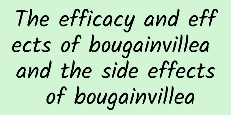 The efficacy and effects of bougainvillea and the side effects of bougainvillea