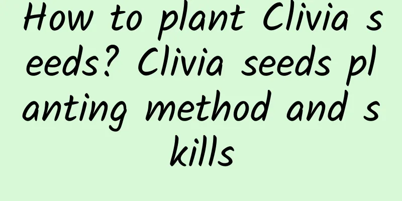 How to plant Clivia seeds? Clivia seeds planting method and skills