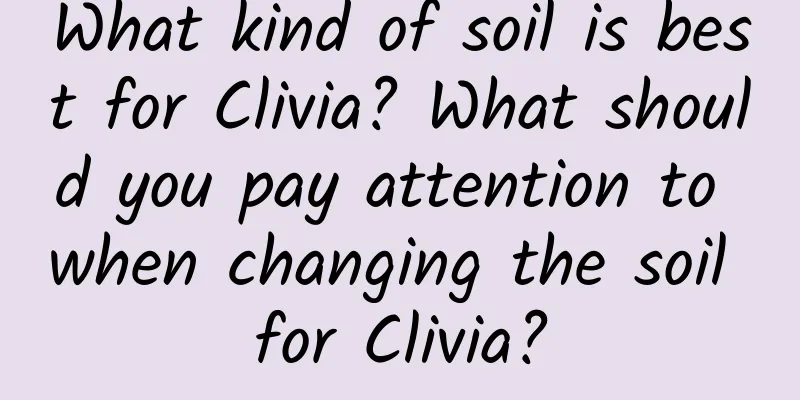 What kind of soil is best for Clivia? What should you pay attention to when changing the soil for Clivia?