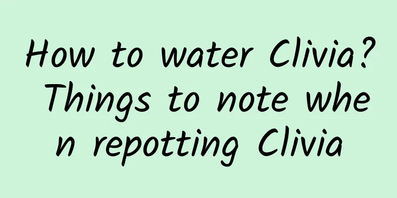 How to water Clivia? Things to note when repotting Clivia