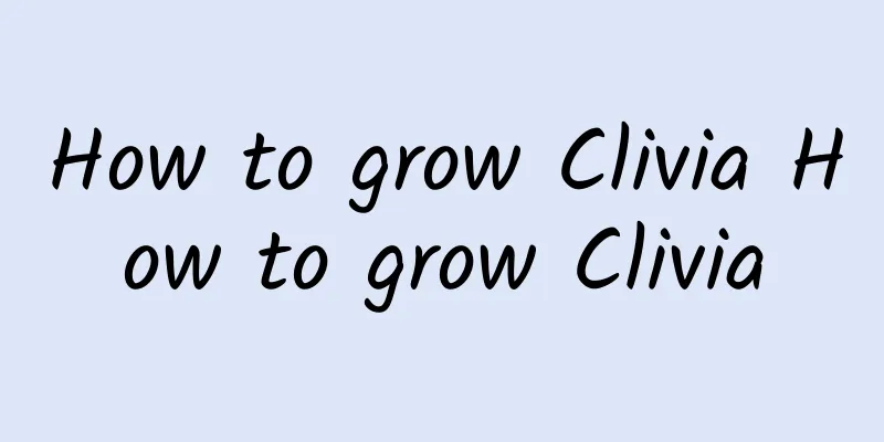 How to grow Clivia How to grow Clivia