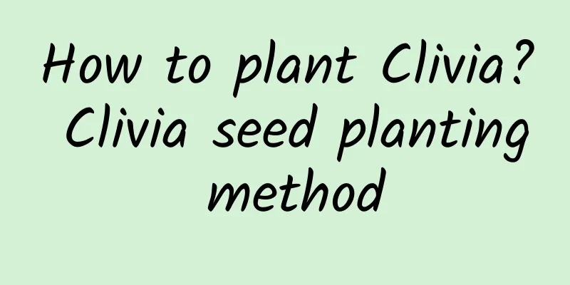 How to plant Clivia? Clivia seed planting method