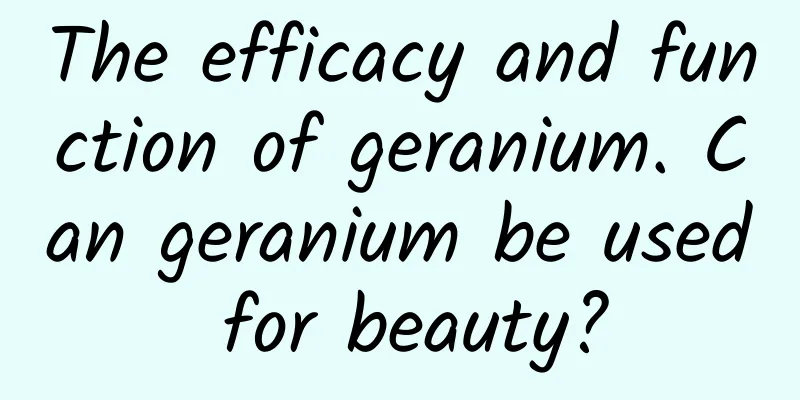 The efficacy and function of geranium. Can geranium be used for beauty?