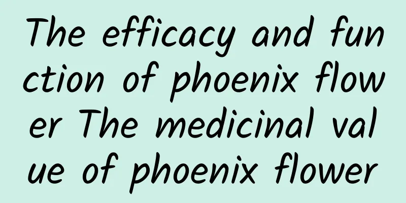 The efficacy and function of phoenix flower The medicinal value of phoenix flower