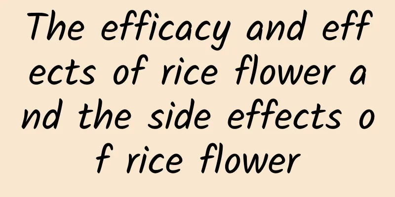 The efficacy and effects of rice flower and the side effects of rice flower