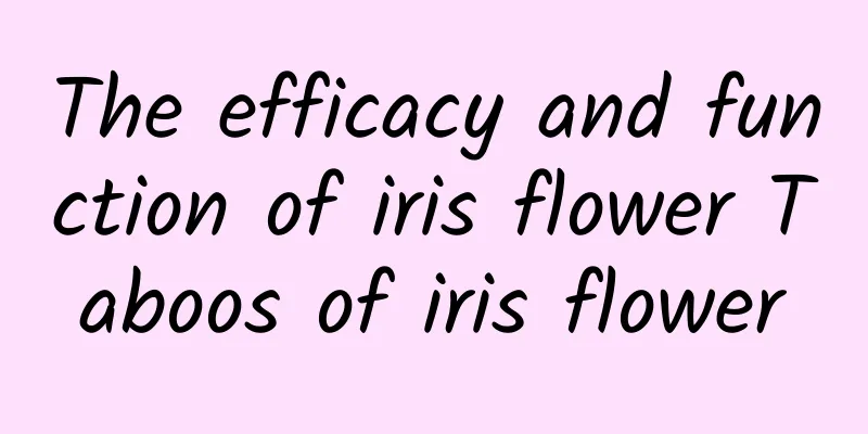 The efficacy and function of iris flower Taboos of iris flower