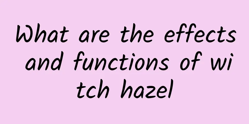 What are the effects and functions of witch hazel