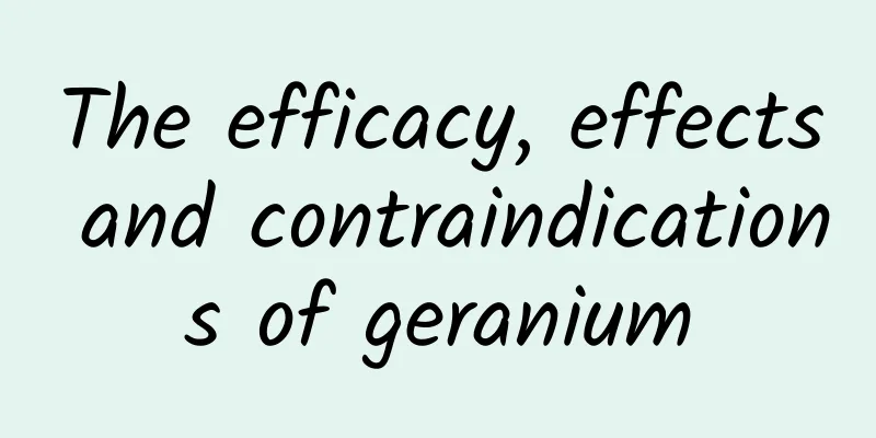 The efficacy, effects and contraindications of geranium