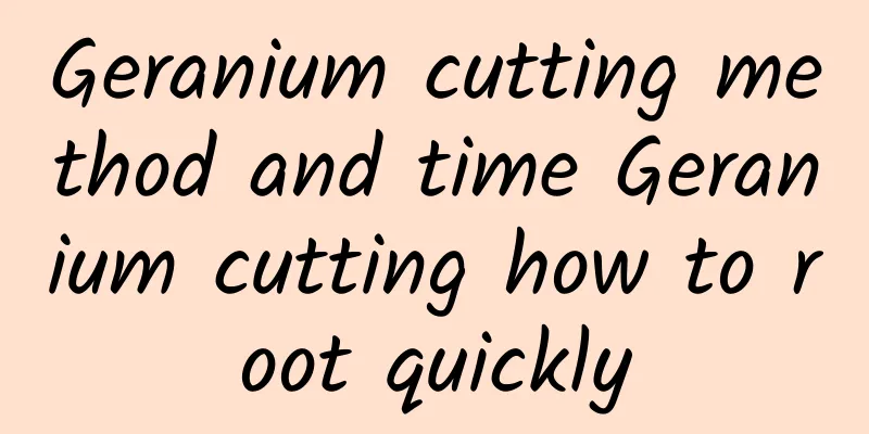 Geranium cutting method and time Geranium cutting how to root quickly