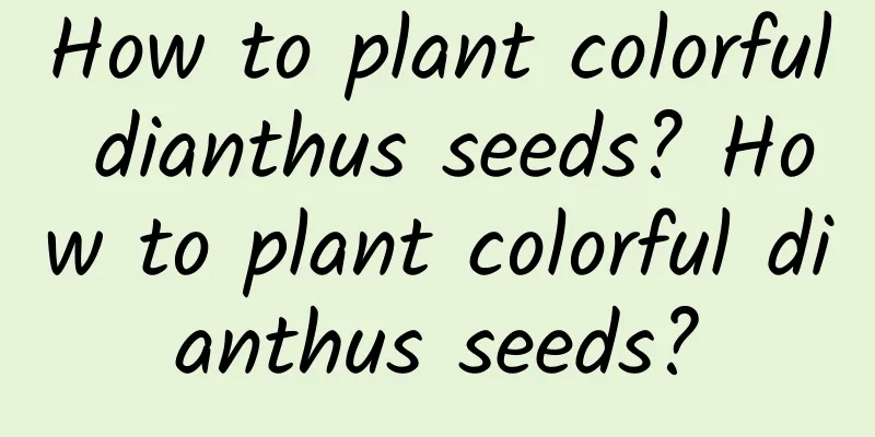 How to plant colorful dianthus seeds? How to plant colorful dianthus seeds?