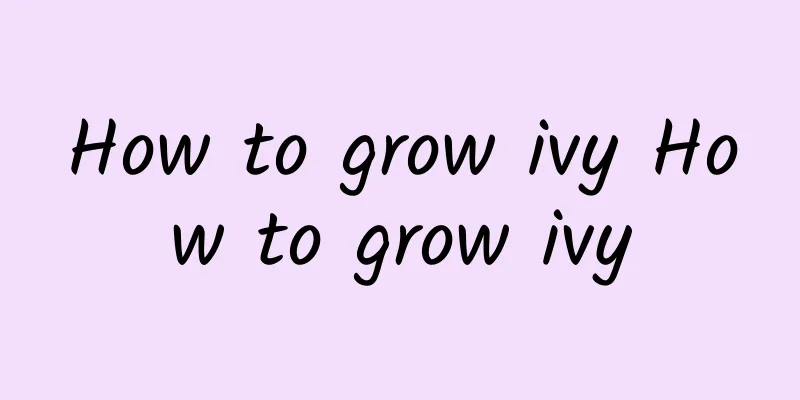 How to grow ivy How to grow ivy