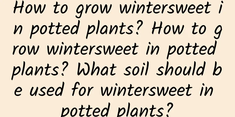 How to grow wintersweet in potted plants? How to grow wintersweet in potted plants? What soil should be used for wintersweet in potted plants?