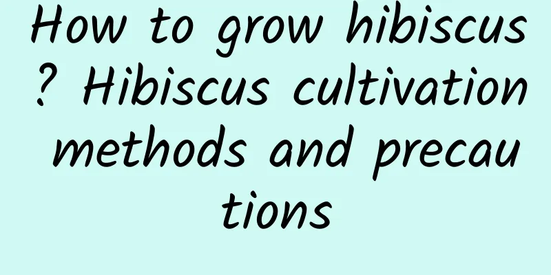 How to grow hibiscus? Hibiscus cultivation methods and precautions