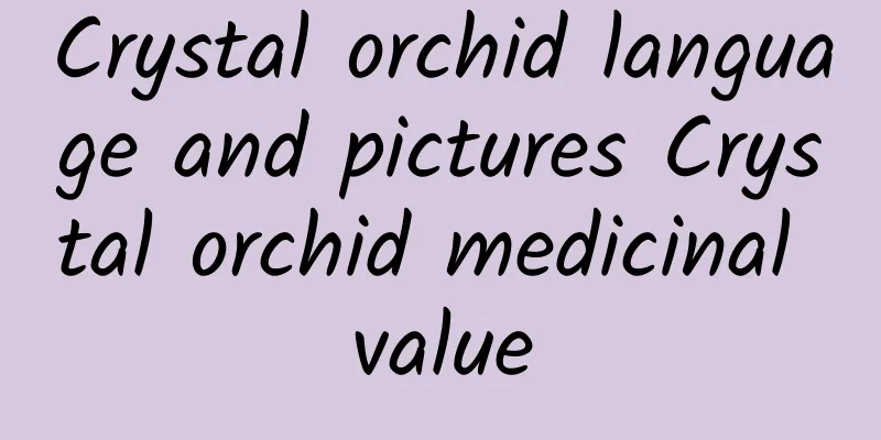 Crystal orchid language and pictures Crystal orchid medicinal value