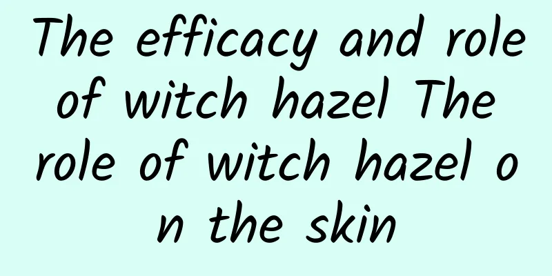 The efficacy and role of witch hazel The role of witch hazel on the skin