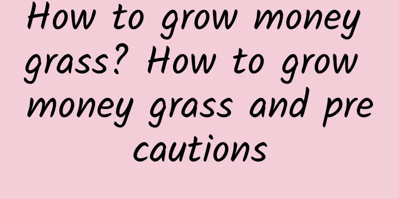 How to grow money grass? How to grow money grass and precautions