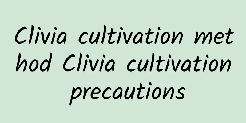 Clivia cultivation method Clivia cultivation precautions