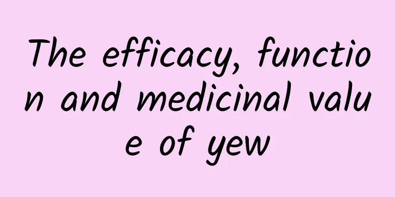 The efficacy, function and medicinal value of yew