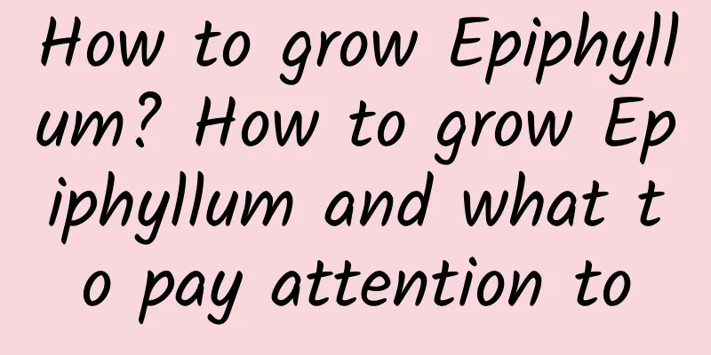 How to grow Epiphyllum? How to grow Epiphyllum and what to pay attention to