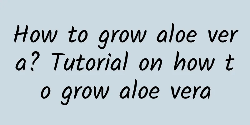 How to grow aloe vera? Tutorial on how to grow aloe vera