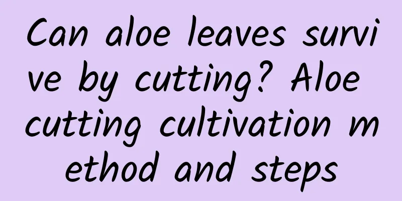 Can aloe leaves survive by cutting? Aloe cutting cultivation method and steps