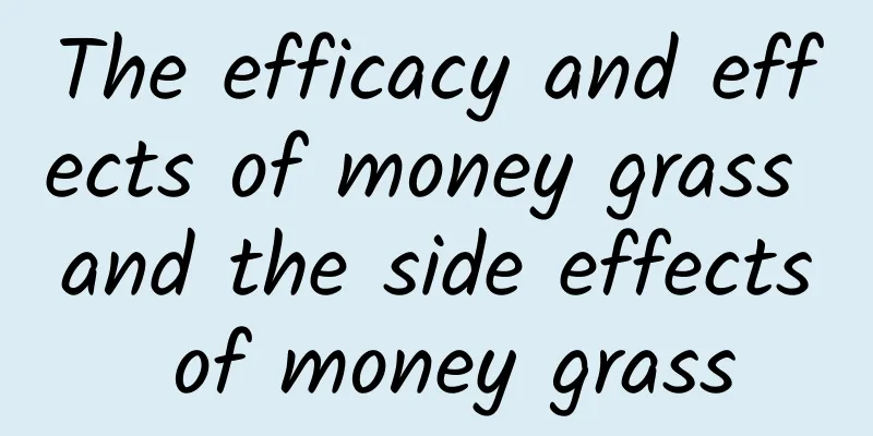 The efficacy and effects of money grass and the side effects of money grass