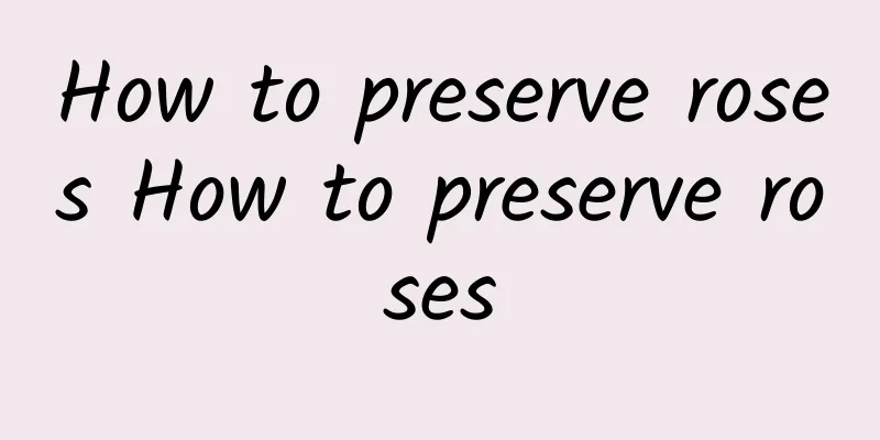 How to preserve roses How to preserve roses