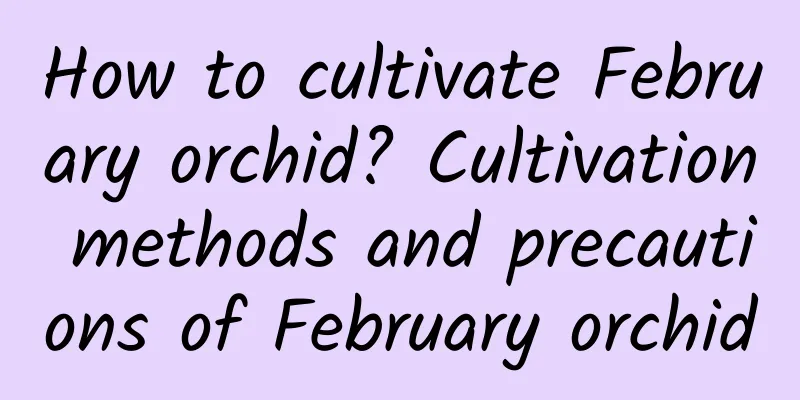 How to cultivate February orchid? Cultivation methods and precautions of February orchid