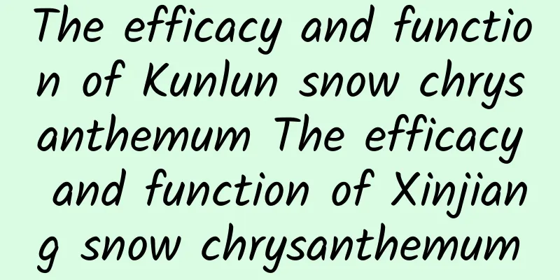 The efficacy and function of Kunlun snow chrysanthemum The efficacy and function of Xinjiang snow chrysanthemum