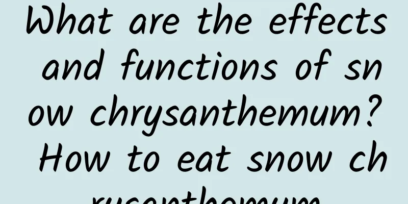 What are the effects and functions of snow chrysanthemum? How to eat snow chrysanthemum