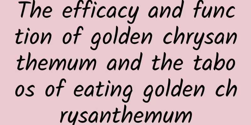 The efficacy and function of golden chrysanthemum and the taboos of eating golden chrysanthemum