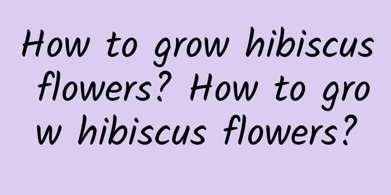 How to grow hibiscus flowers? How to grow hibiscus flowers?