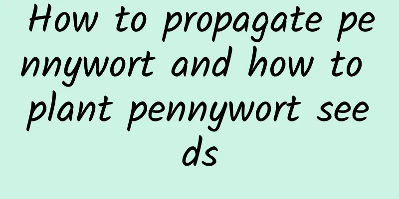 How to propagate pennywort and how to plant pennywort seeds