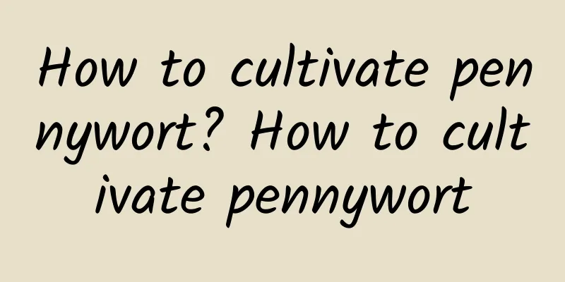 How to cultivate pennywort? How to cultivate pennywort