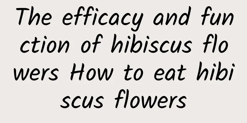 The efficacy and function of hibiscus flowers How to eat hibiscus flowers