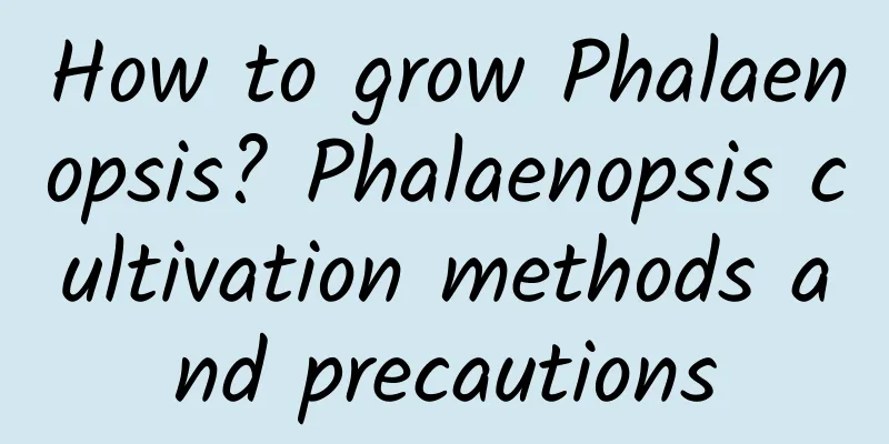 How to grow Phalaenopsis? Phalaenopsis cultivation methods and precautions