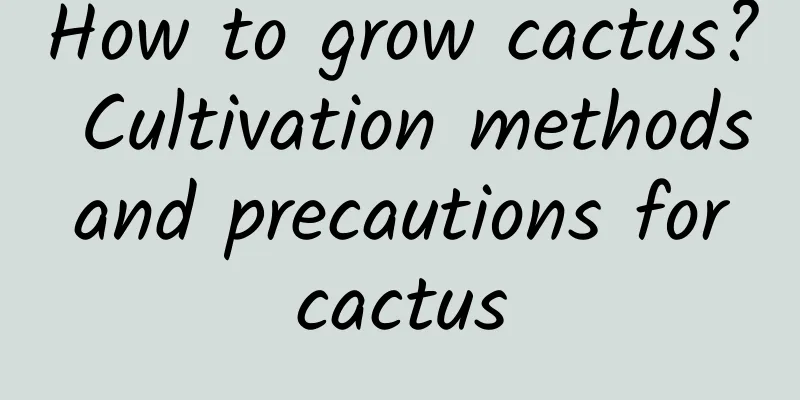 How to grow cactus? Cultivation methods and precautions for cactus