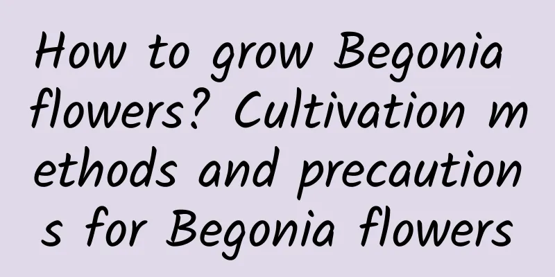 How to grow Begonia flowers? Cultivation methods and precautions for Begonia flowers