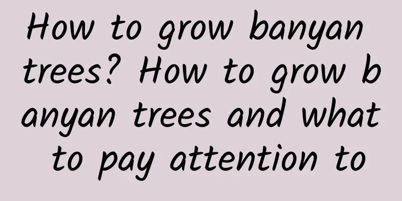 How to grow banyan trees? How to grow banyan trees and what to pay attention to