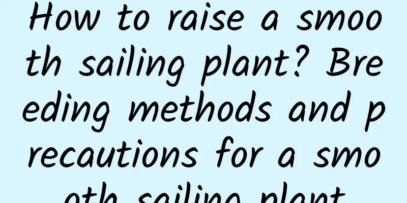 How to raise a smooth sailing plant? Breeding methods and precautions for a smooth sailing plant