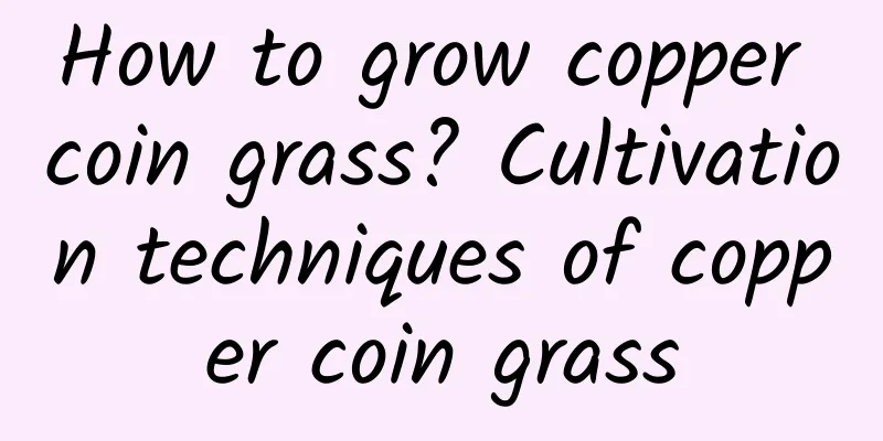 How to grow copper coin grass? Cultivation techniques of copper coin grass