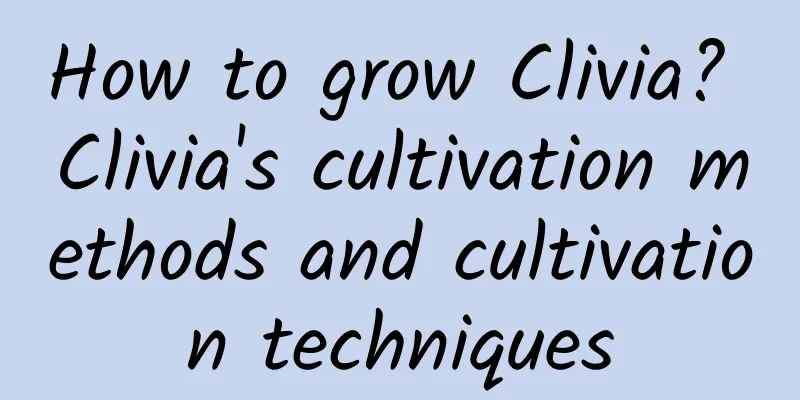 How to grow Clivia? Clivia's cultivation methods and cultivation techniques