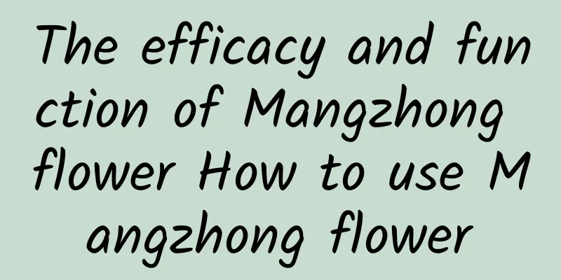 The efficacy and function of Mangzhong flower How to use Mangzhong flower