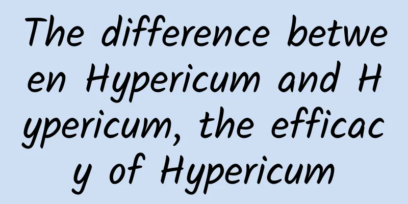 The difference between Hypericum and Hypericum, the efficacy of Hypericum